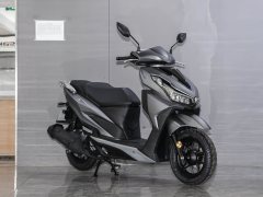 Dayang VRS150 - фото 11