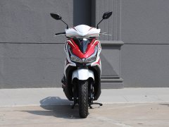 Dayang VRS150 - фото 2