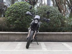 SHINERAY X-Tricker 250 cc - фото 2