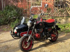 Stoner Monkey 125 Sidecar - фото 3