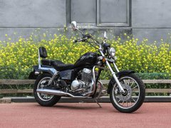 Dadiyingwang DD250E-5D - фото 3