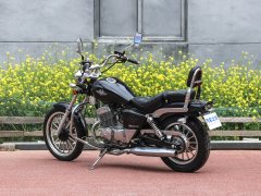 Dadiyingwang DD250E-5D - фото 5