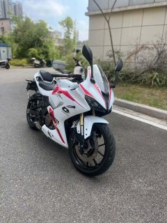 QJMOTOR 250 - фото 1