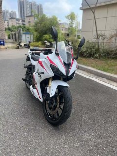 QJMOTOR 250 - фото 2