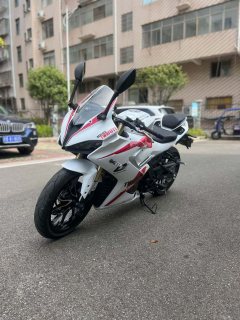QJMOTOR 250 - фото 3