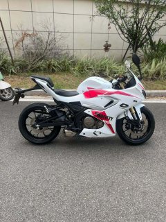 QJMOTOR 250 - фото 4