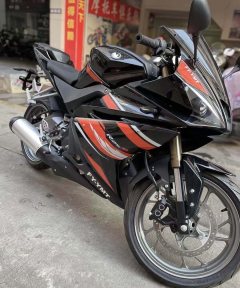 Feiying R25 250 cc - фото 4