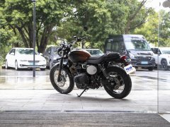 Triumph Scrambler 900 - фото 5