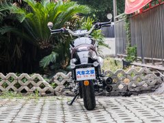 Jueshijie DX250 - фото 1