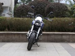 QJMOTOR 550 - фото 2