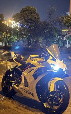Kayo 450RR - фото 3
