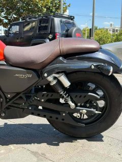 QJMOTOR 250 - фото 4