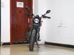 Yingang RTD250 Twin - фото 2