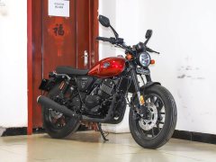 Yingang RTD250 Twin - фото 3