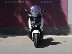 Gusite 250 - фото 2