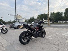 QJMOTOR 350 - фото 2