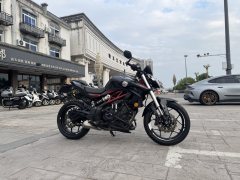 QJMOTOR 350 - фото 3