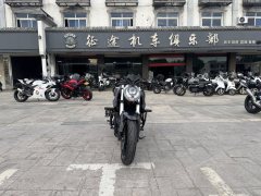 QJMOTOR 350 - фото 4