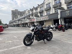 QJMOTOR 350 - фото 5