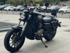 QJMOTOR 300 - фото 6