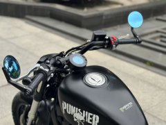 QJMOTOR 300 - фото 7