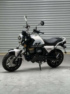 Yingang 150 cc - фото 5