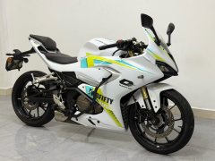 QJMOTOR 250 - фото 1