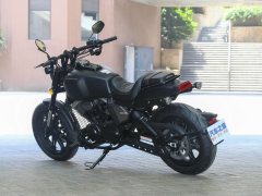 Longjia V250 - фото 6