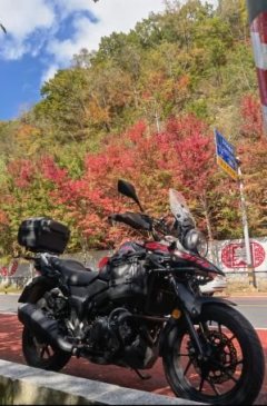 Haojue Suzuki DL250 - фото 1