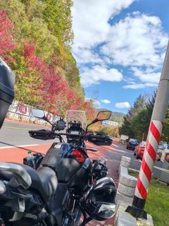 Haojue Suzuki DL250 - фото 4