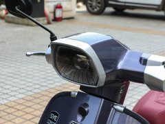 Sanye 125 cc - фото 11
