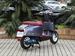 Sanye 125 cc - фото 7