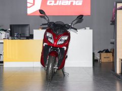 QJMOTOR 150 - фото 2
