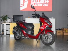 QJMOTOR 150 - фото 3