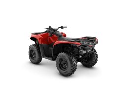 Pangbadi 1000 cc - фото 2