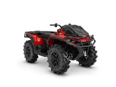 Pangbadi 1000 cc - фото 4