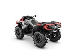 Pangbadi 1000 cc - фото 6