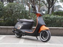 Arena Platypus 125 cc - фото 3
