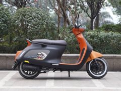Arena Platypus 125 cc - фото 5