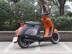 Arena Platypus 125 cc - фото 8
