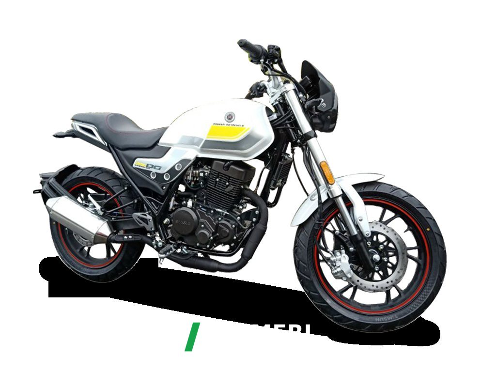 2021 SHINERAY DM250