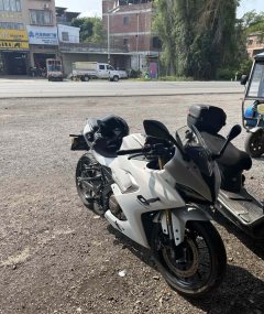 QJMOTOR 250 - фото 1
