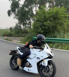 QJMOTOR 250 - фото 2