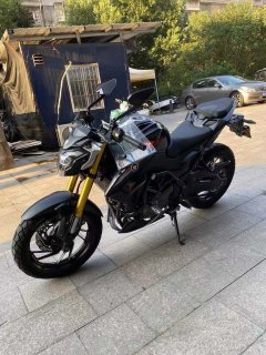 Haojue DR250 - фото 1