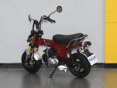 Jincheng LAKO 110 - фото 7