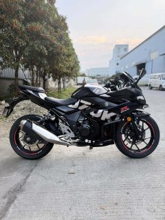 Haojue Suzuki GSX250R - фото 4