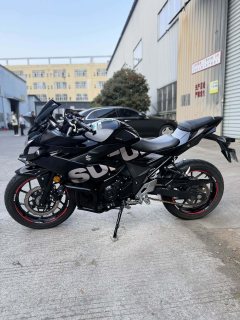 Haojue Suzuki GSX250R - фото 6
