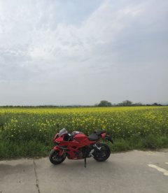 QJMOTOR Sai 600 680 cc - фото 3