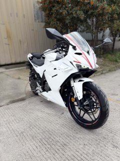 Cyclone RC250 - фото 1