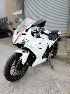 Cyclone RC250 - фото 3